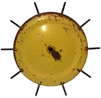 Yellow iron cultivator wheel