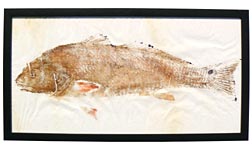 Gyotaku fish print