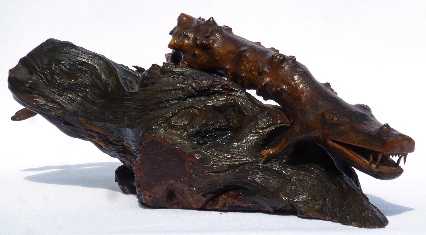Crocodile root carving